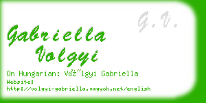 gabriella volgyi business card